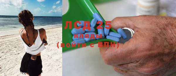 сатива Богородицк