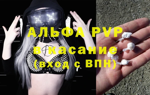 сатива Богородицк