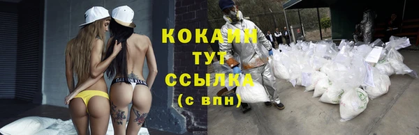 не бодяженный Богданович