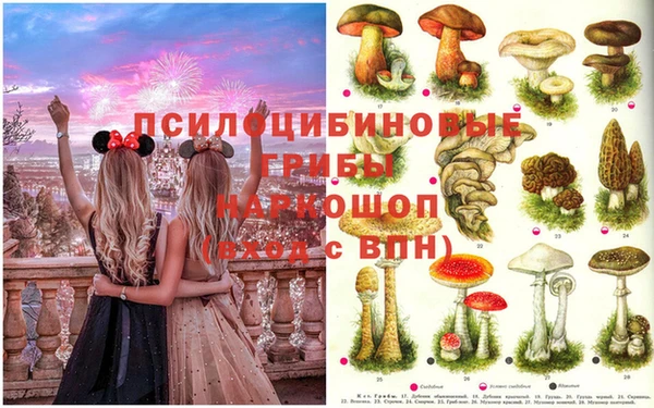 мяу мяу мука Богородск