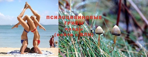 мяу мяу мука Богородск